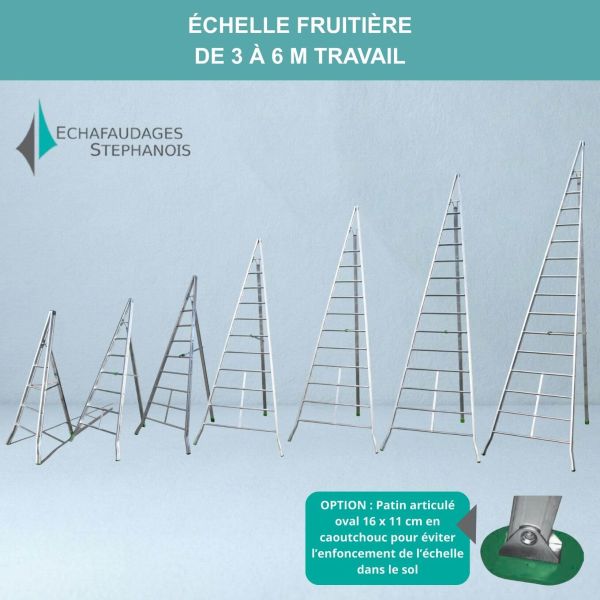 Échelle fruitière pour le ramassage et le jardinage en verger